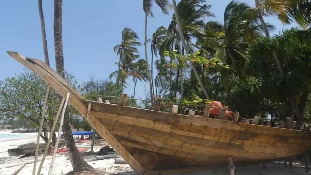 Nungwi and Turtle Sanctuary Guided Private Tour from Zanzibar