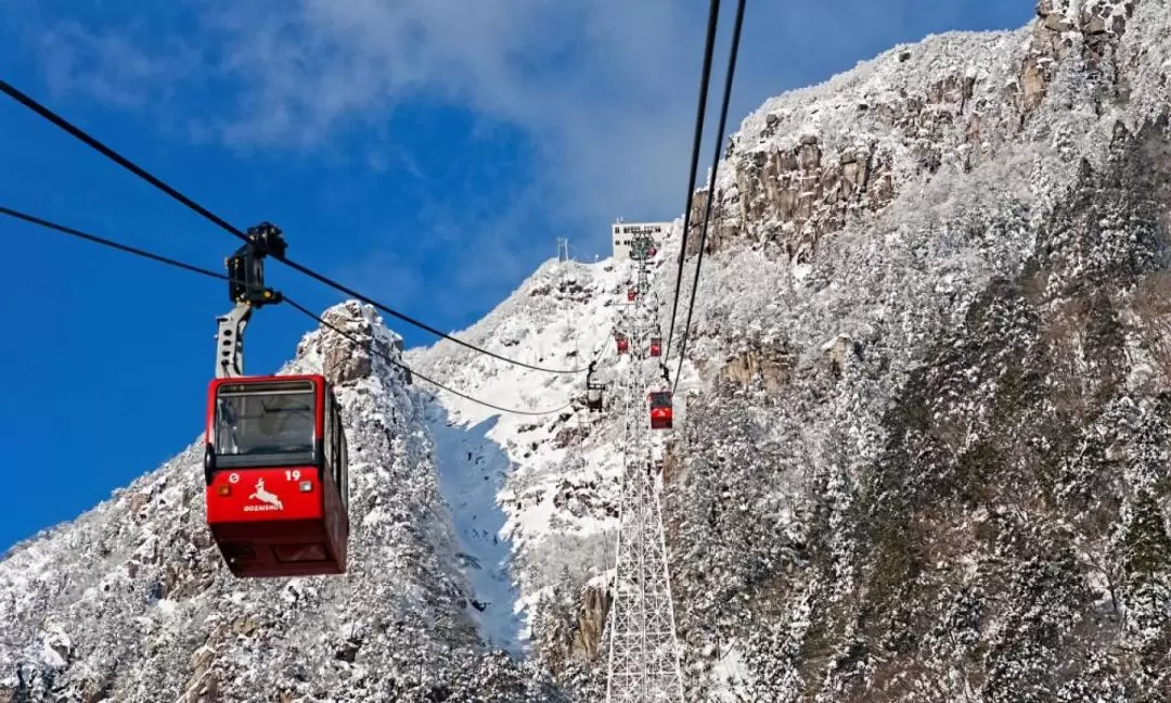 Nabana no Sato & Gozaishodake Ropeway Day Tour from Osaka