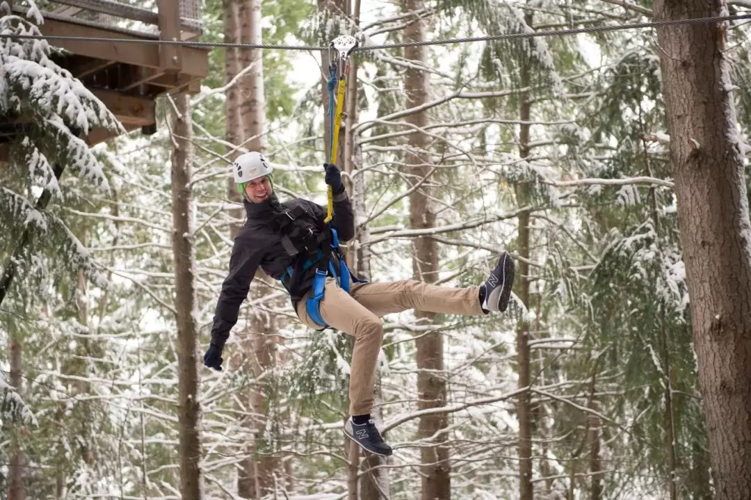 皇后鎮叢林飛索體驗（Ziptrek 提供）