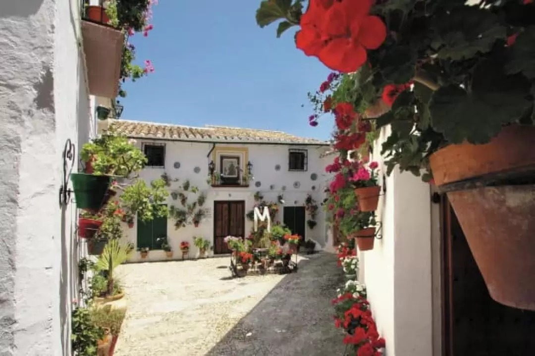 Ronda & White Villages Day Tour from Seville