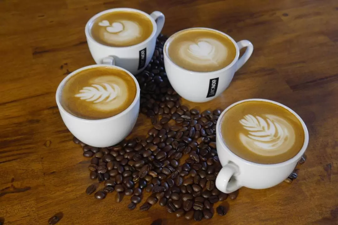 Latte Art Workshop By Boncafé Singapore