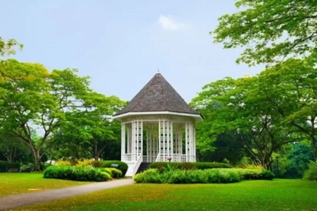 [Klook Exclusive] Singapore Garden City Walking Tour