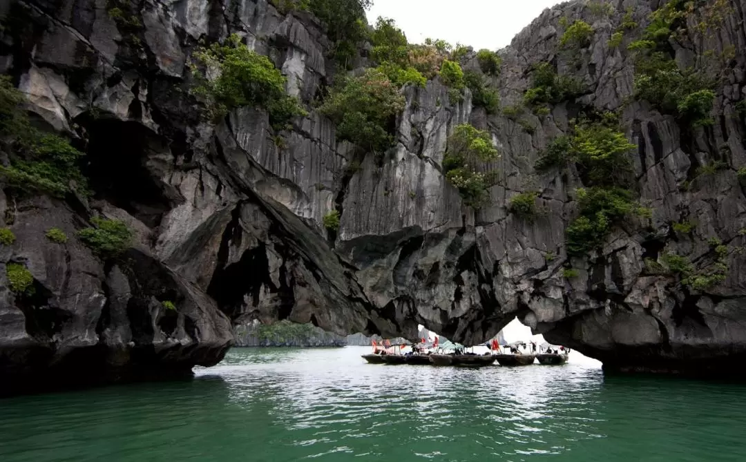 [Route 2] Full Day Tour in Halong Bay by Reina Cruise