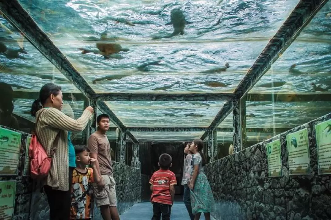 芭提雅怪物水族館門票