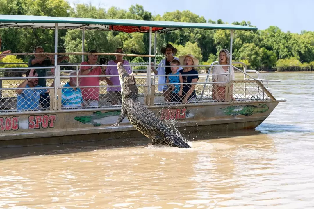 ワニ餌付け体験 半日クルーズ（ダーウィン / Jumping Crocodile Cruise提供）