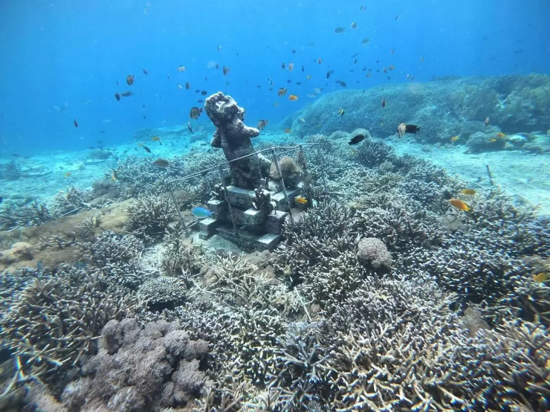 レンボンガン島・セニンガン島 日帰りツアー（バリ発）