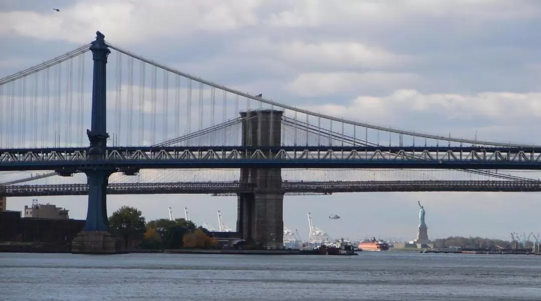 60 Minute Statue of Liberty and Ellis Island Cruise in New York