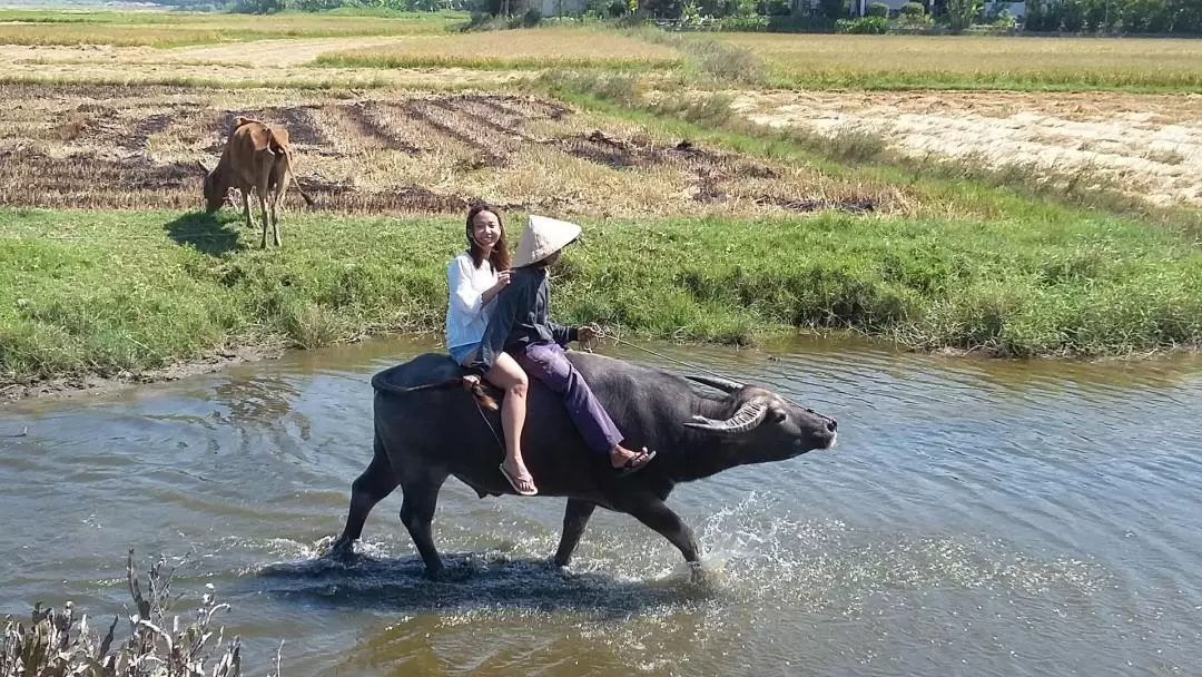 Hoi An City and Countryside Tour