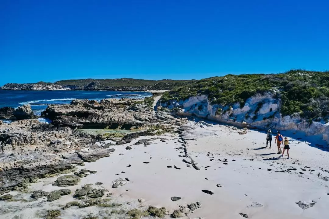 Lakes and Bays Guided Hike on Rottnest Island 