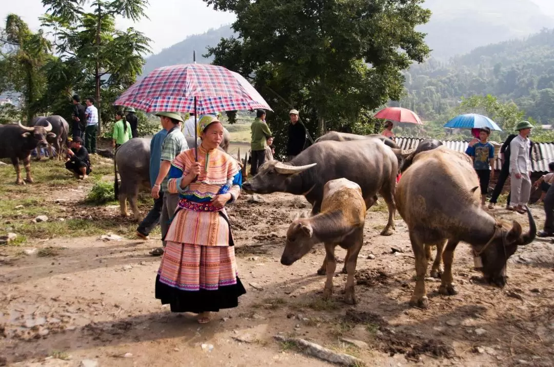 Bac Ha Market and Ban Pho Village Day Tour from Sapa