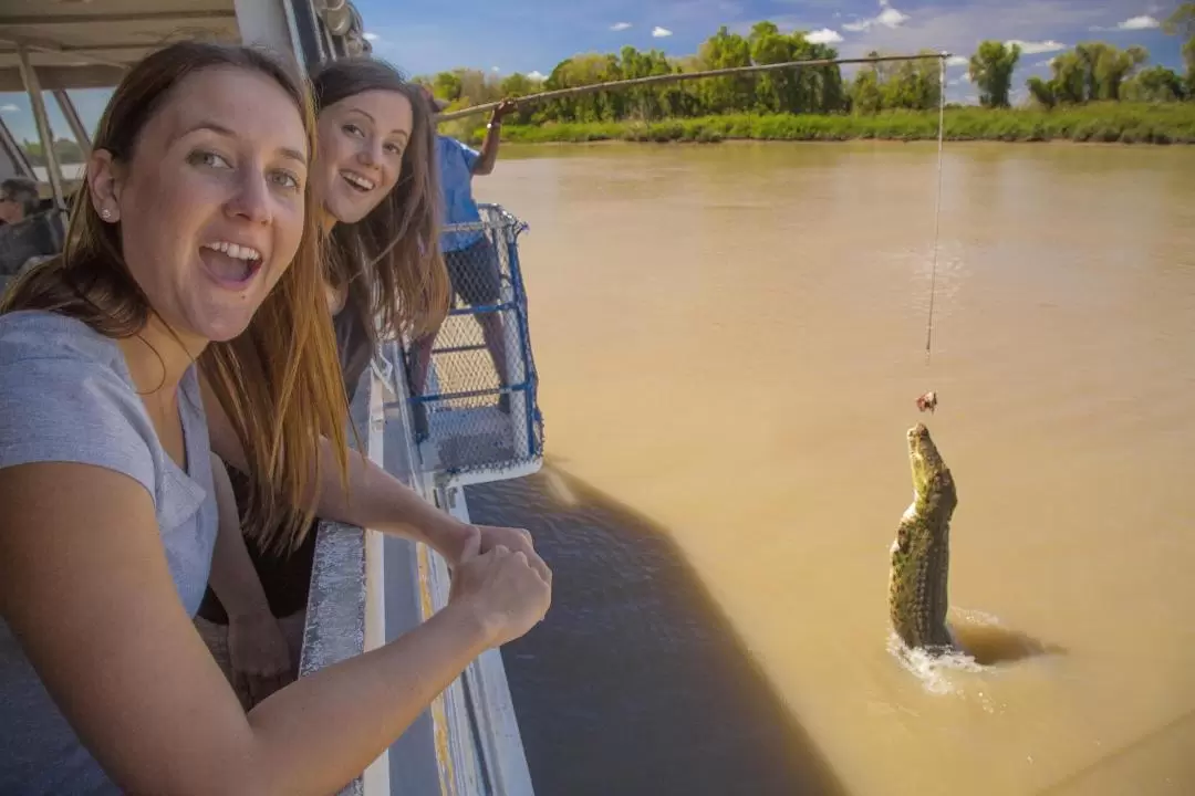 Jumping Crocs and Nature Explorer Half Day Tour from Darwin