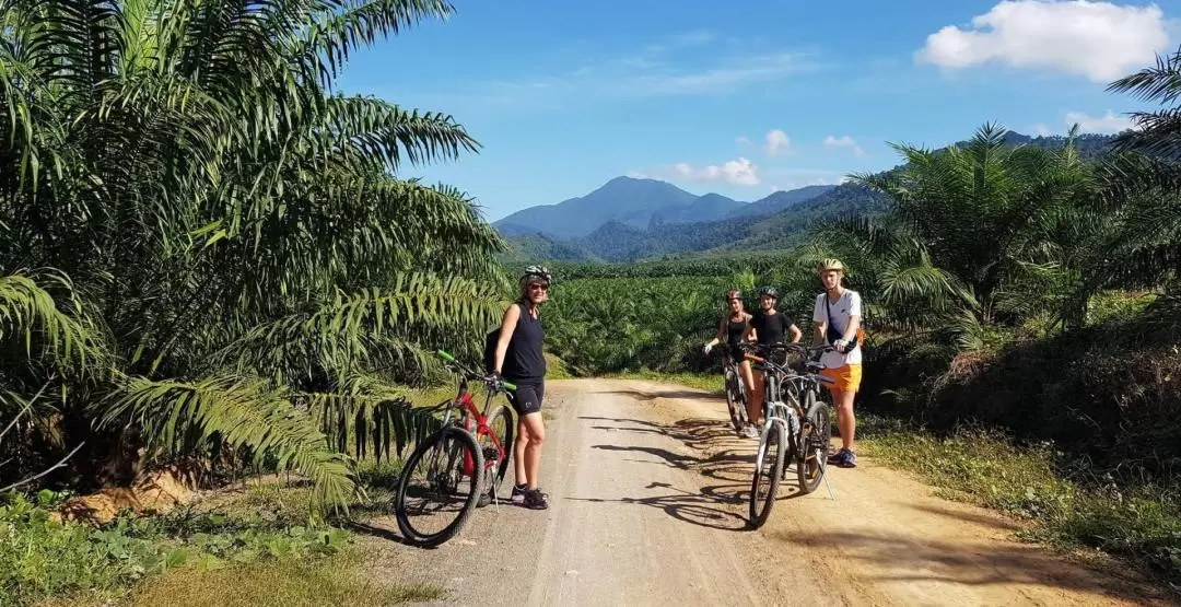 Krabi Eco Cycling Adventure