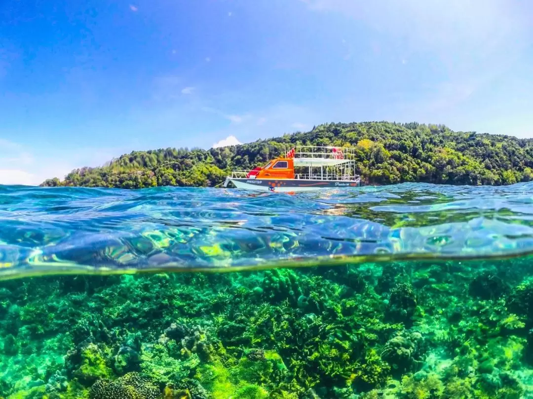 トゥンクアブドゥルラーマン海洋公園 島滞在・ボートシュノーケリング体験（サバ）