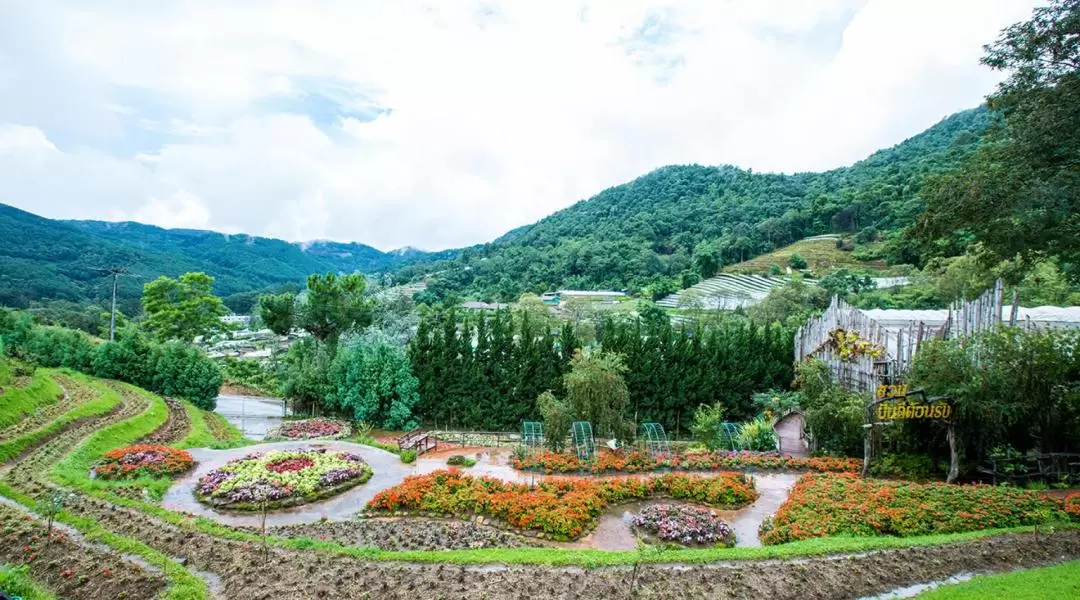 ドイインタノン国立公園 日帰りツアー（チェンマイ）