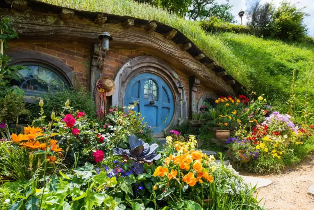 Hobbiton Movie Set Day Tour from Auckland