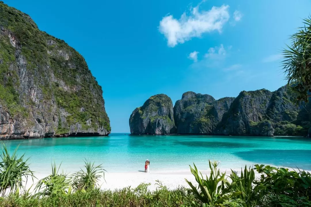 Phi Phi, Maya, Khai and Bamboo Island Tour from Phuket & Krabi