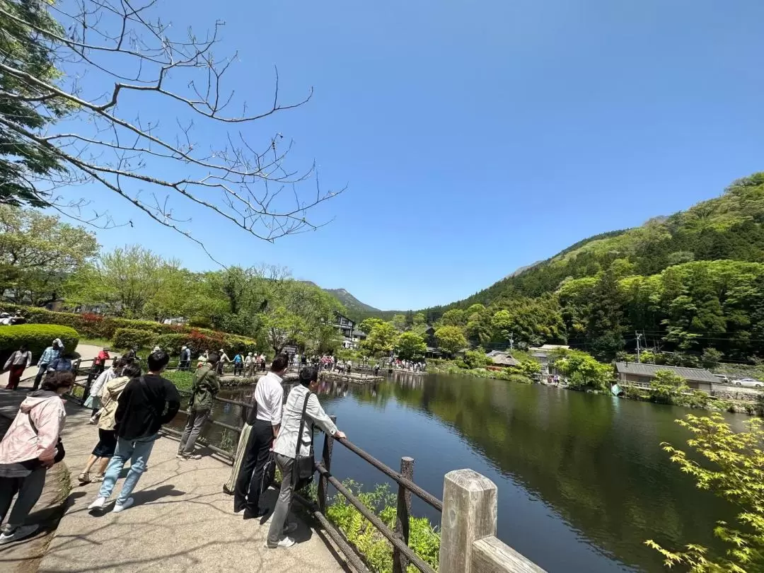 九州自然動物公園アフリカンサファリ・別府地獄めぐり・湯布院・金鱗湖 日帰りカスタムツアー（大分）