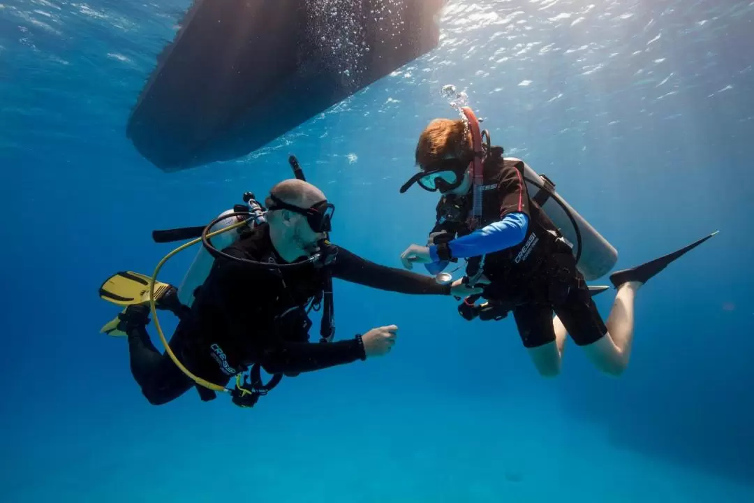 Beginners Scuba Diving Experience in Fujairah 