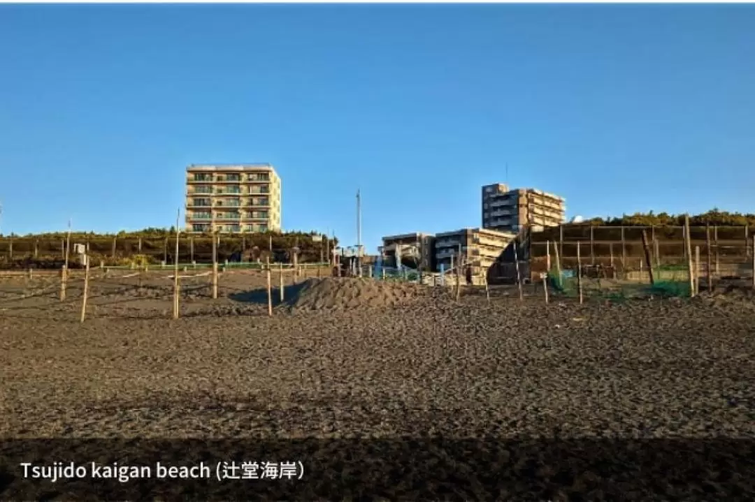 鎌倉 & 湘南真人動漫取景地半日遊（東京出發）