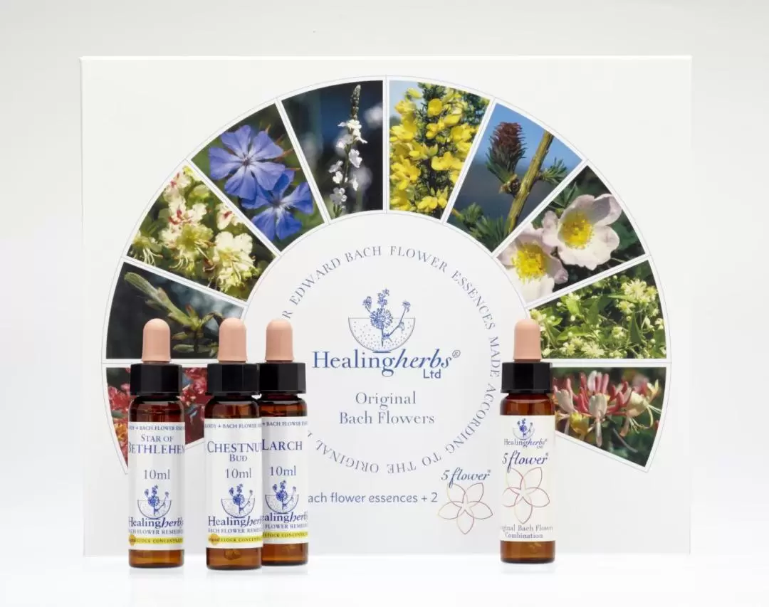 Bach Flower Remedies 情緒紓壓花精療法體驗