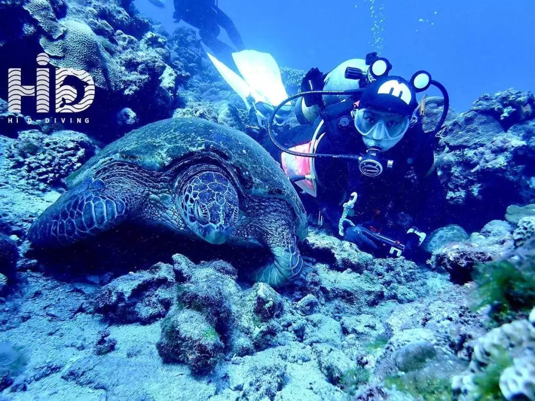 Diving Experience and Courses in Kenting, Pintung