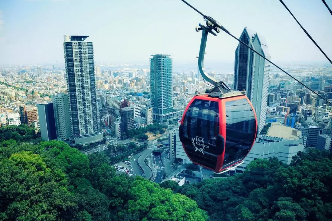 神戸布引ハーブ園 入場チケット＋ロープウェイ