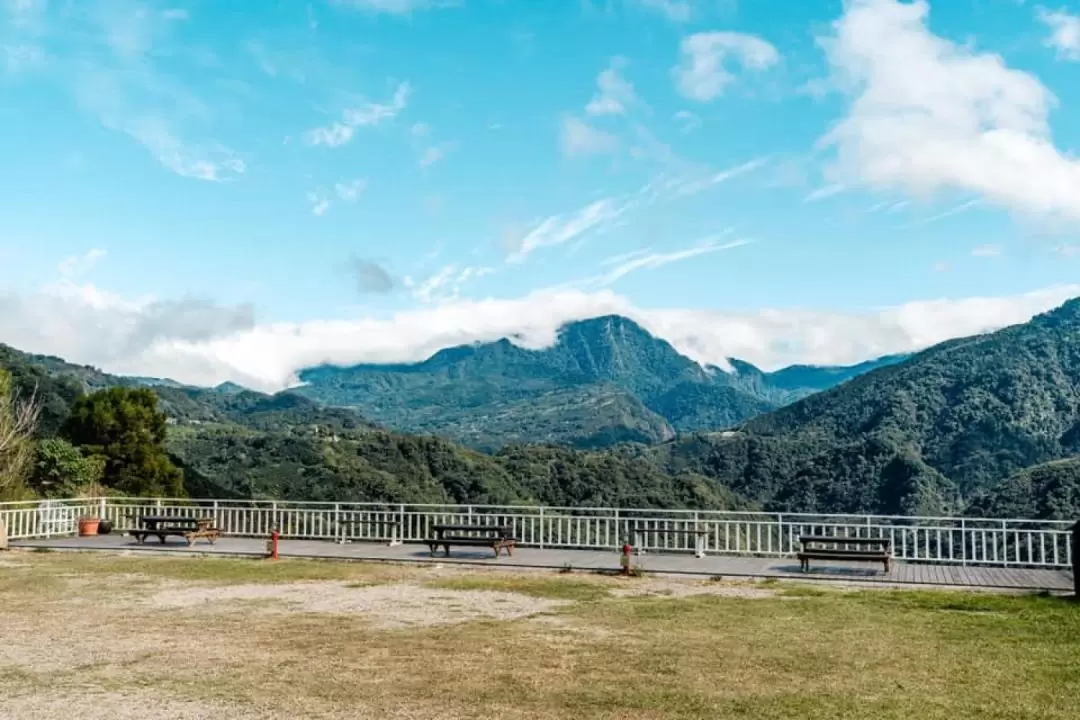 新竹露营｜尖石梦田营区｜免装备景观露营