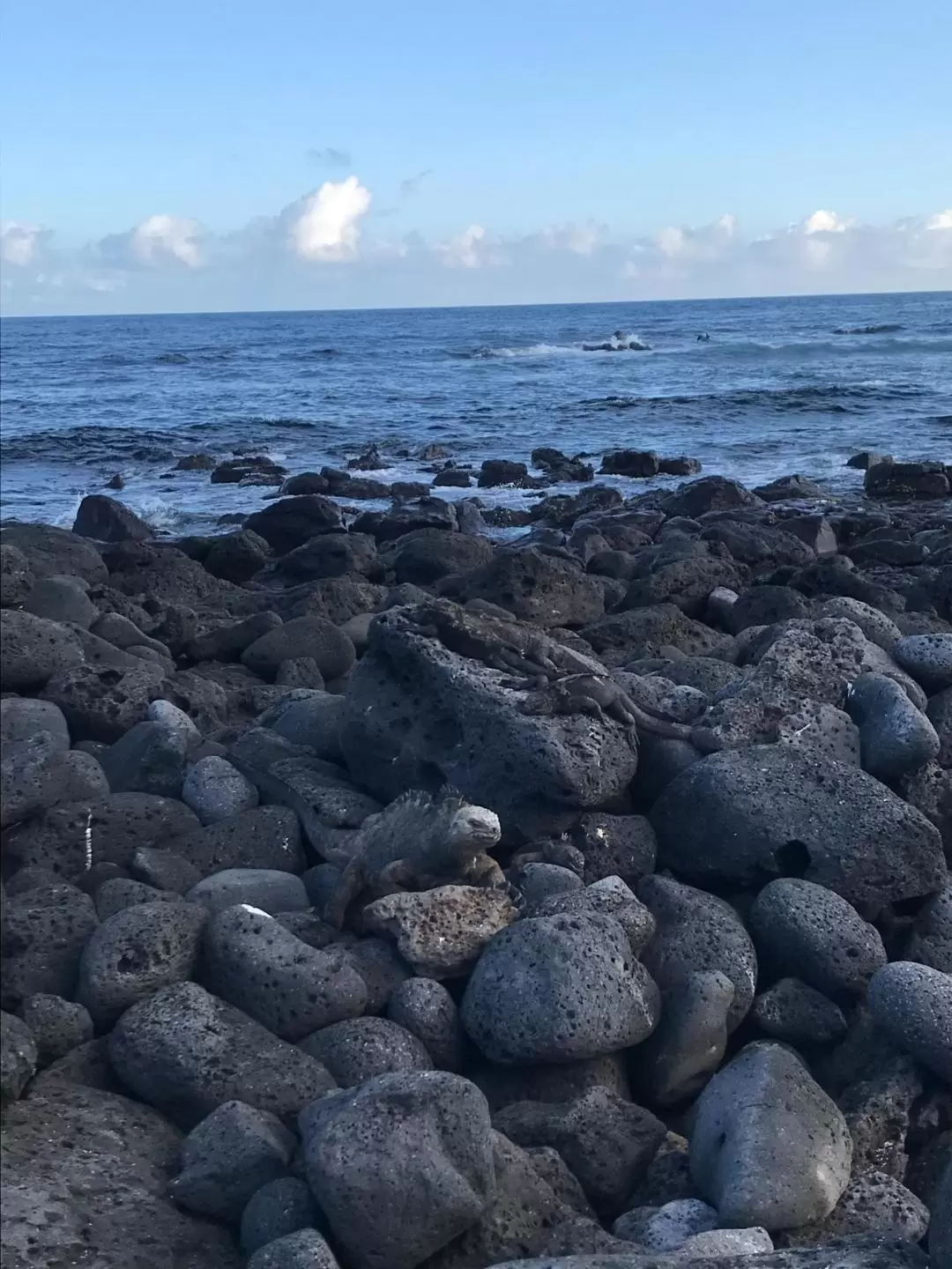 圣克鲁斯岛（Santa Cruz）海湾之旅