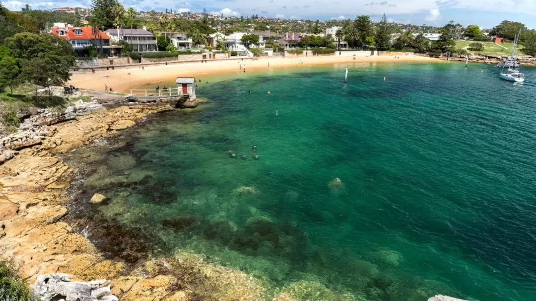 Watsons Bay Guided Walking Tour from Sydney