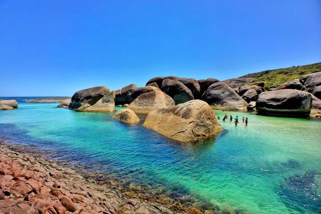 6D5N Margaret River and Esperance Adventure Tour from Perth