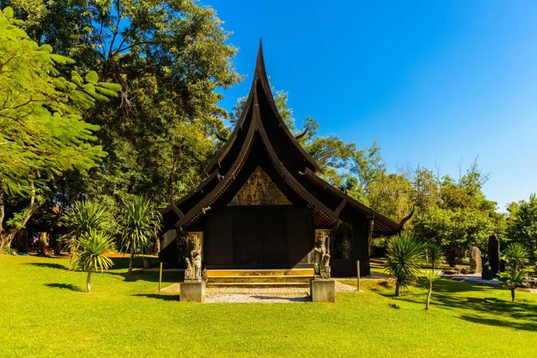 Chiang Rai Iconic White, Blue Temple, Black House Museum and Hot Spring Visit Day Tour