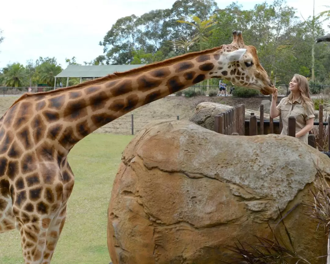 澳洲動物園＆野生動物醫院門票