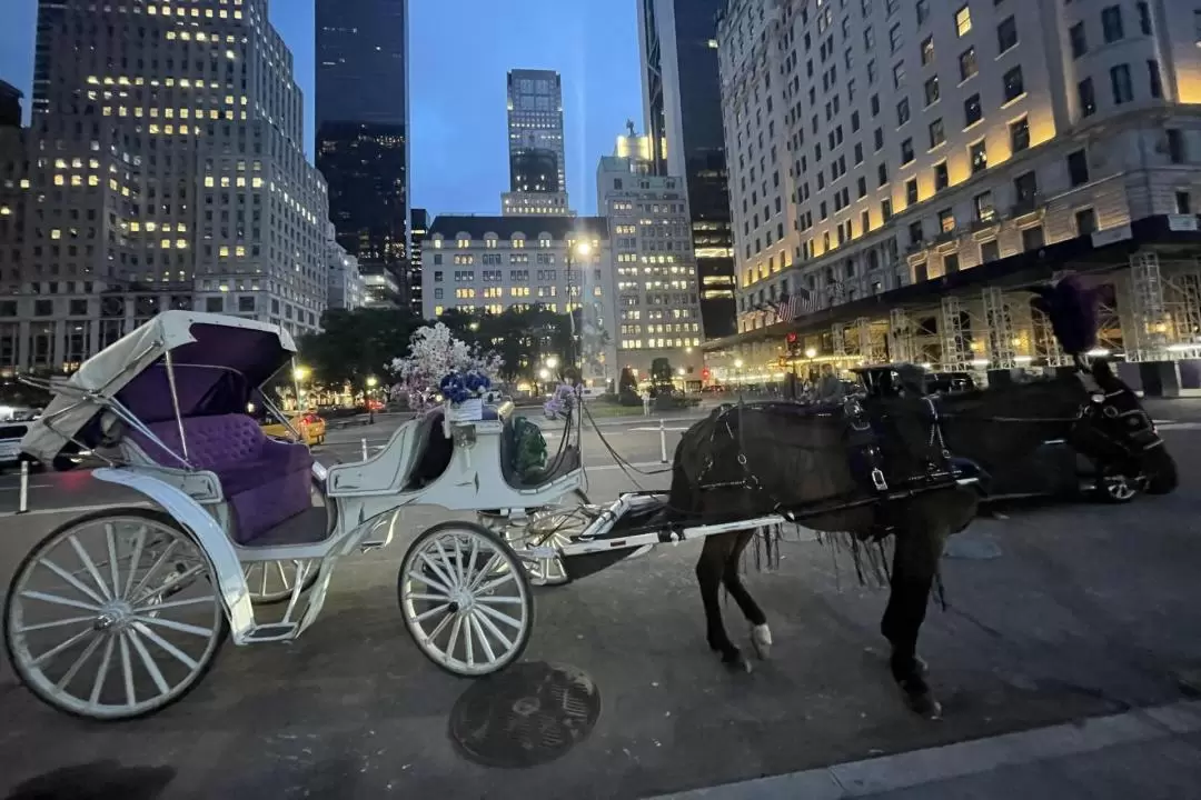 Central Park, Rockefeller Center, and Times Square Carriage Ride