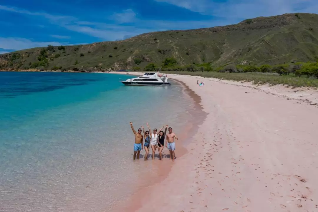 Komodo Full Day Speedboat Tour from Labuan Bajo