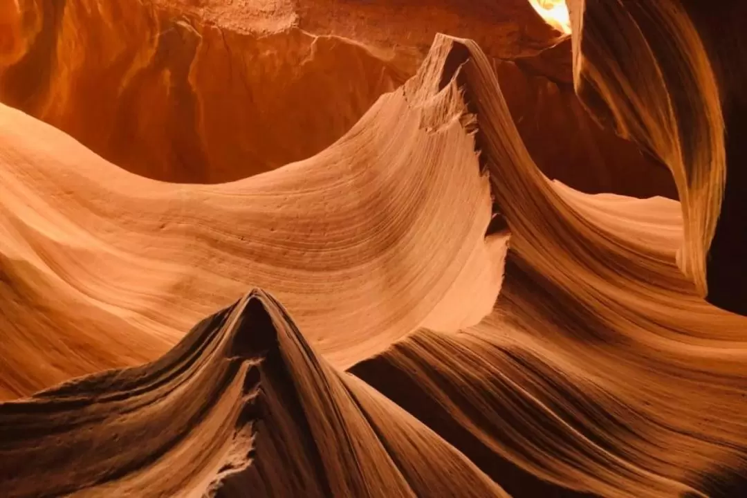 Antelope Canyon X and Horseshoe Bend Tour from Las Vegas