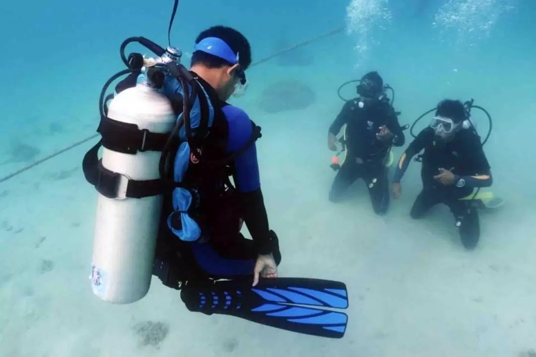 SSI Open Water Diver in Scuba School International Kota Kinabalu