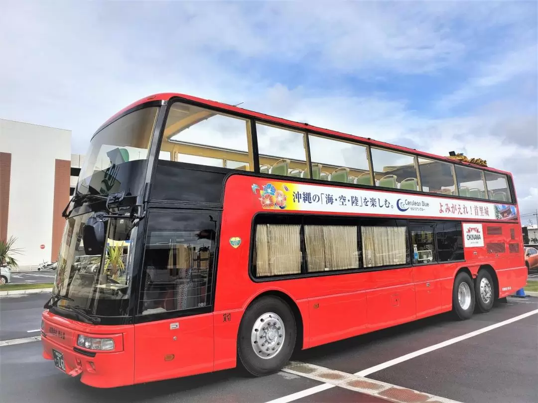 Churashima Open Top Bus Tour (Naha departure)