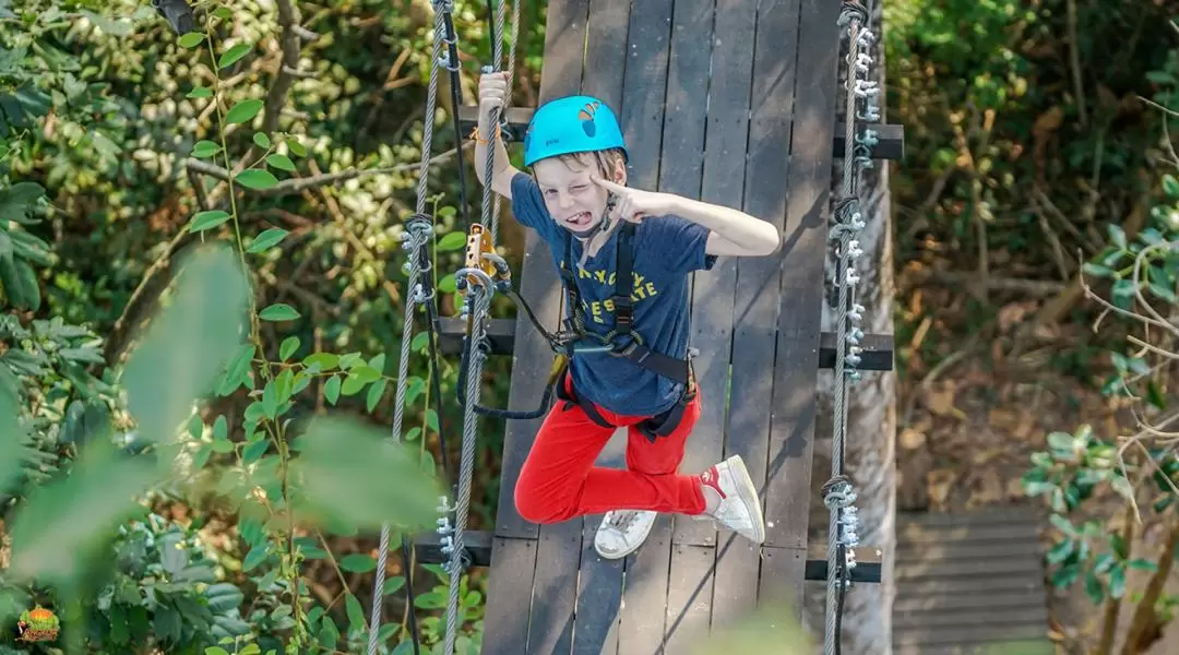 Angkor Zipline