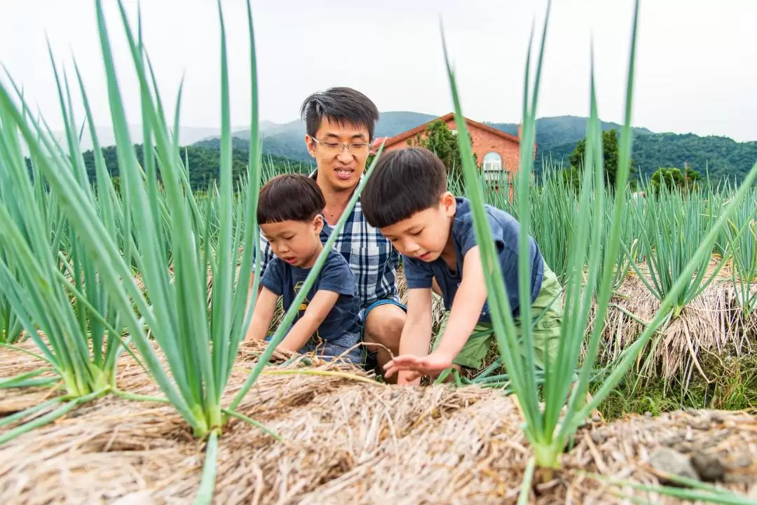 Animal Encounter at Sinbow Leisure Farm in Yilan