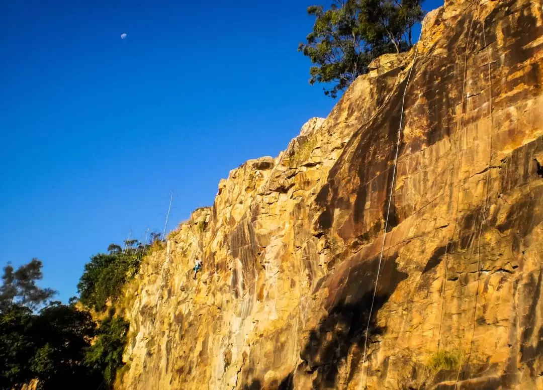 Outdoor Rock Climbing Experience in Brisbane