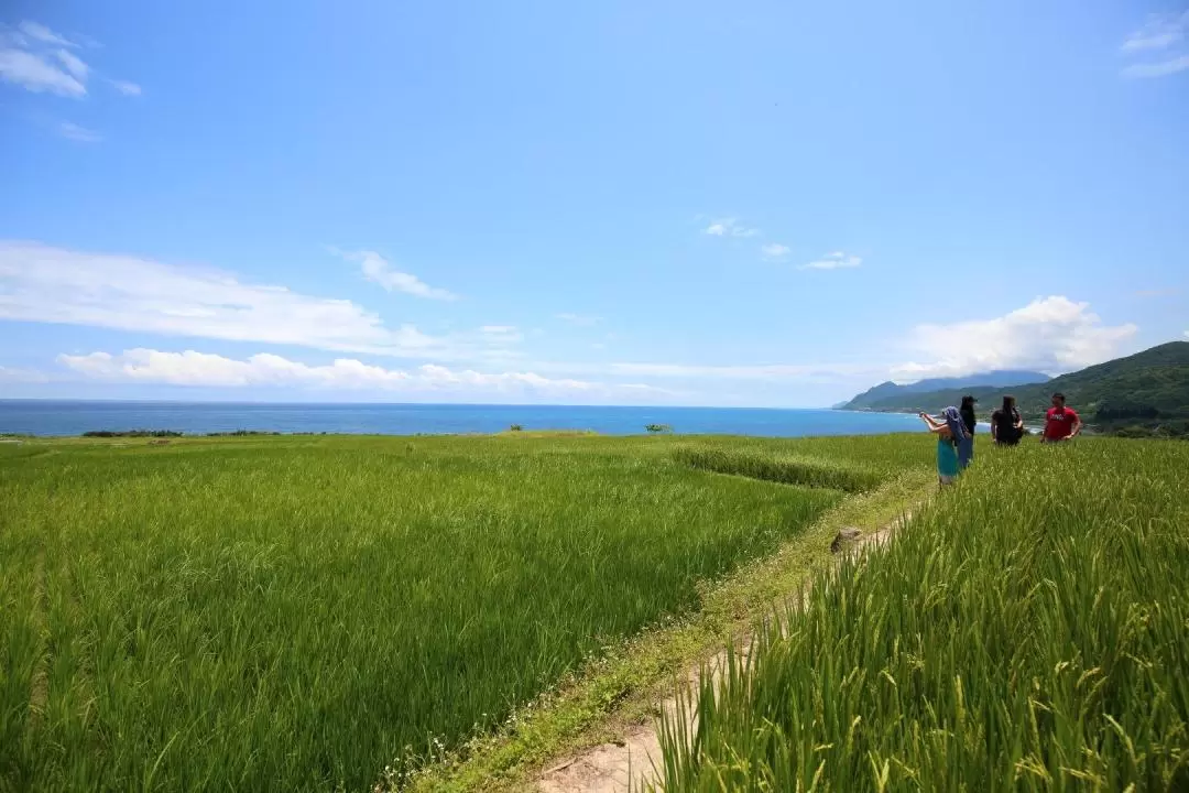 Visit Xin she Rice Terrace on Hualien East Coast Bus From Hualien Bus Station