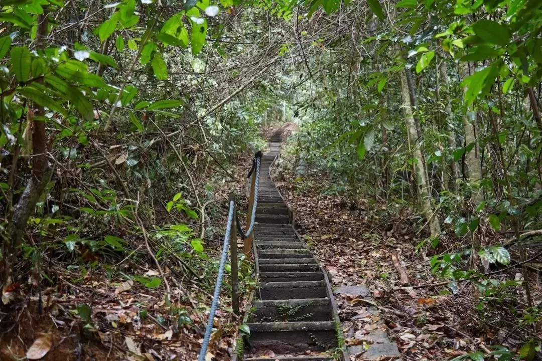 Gunung Gading National Park Day Tour in Sarawak