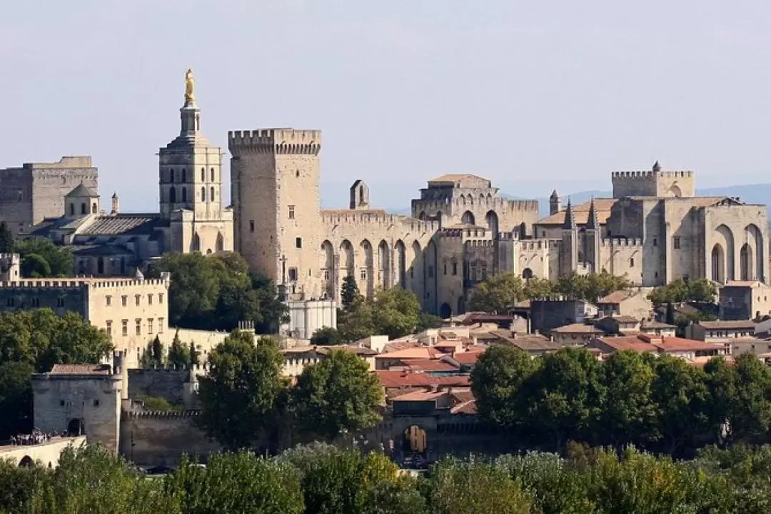 Palais des Papes Ticket in Avignon