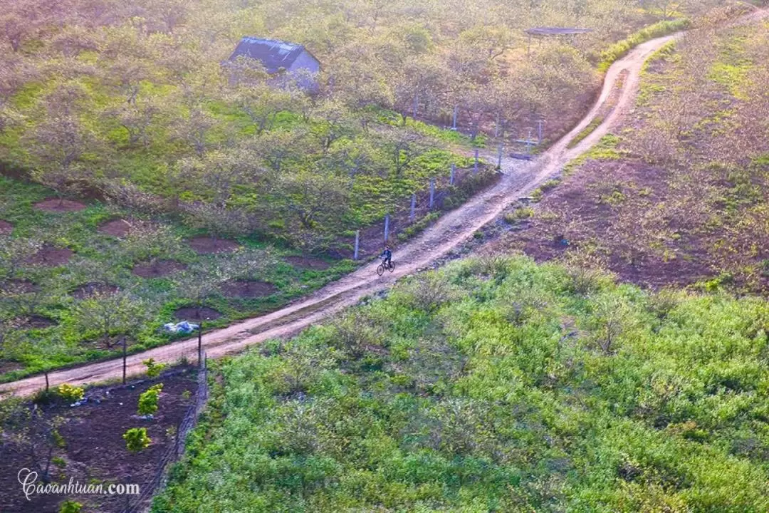 4D3N Moc Chau and Dai Yem Waterfall, Departure from Ho Chi Minh with Vietnamese Speaking Guide