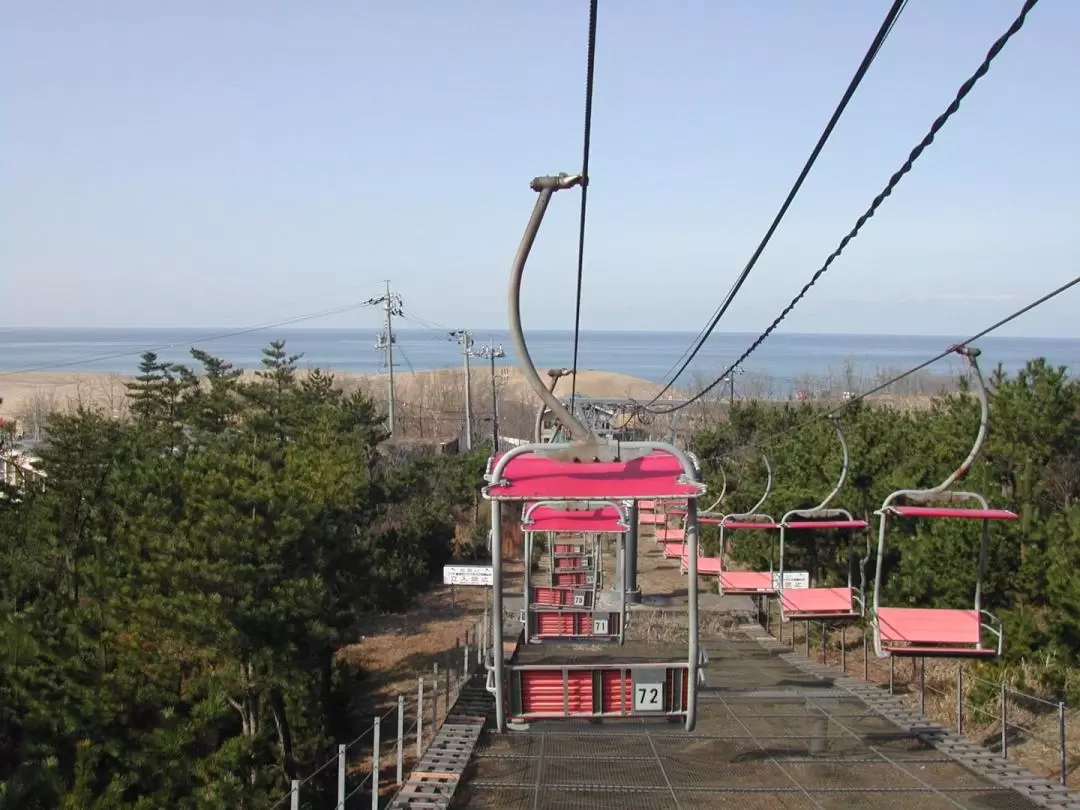 鳥取砂丘&砂の美術館&白兔神社一日遊｜大阪出發