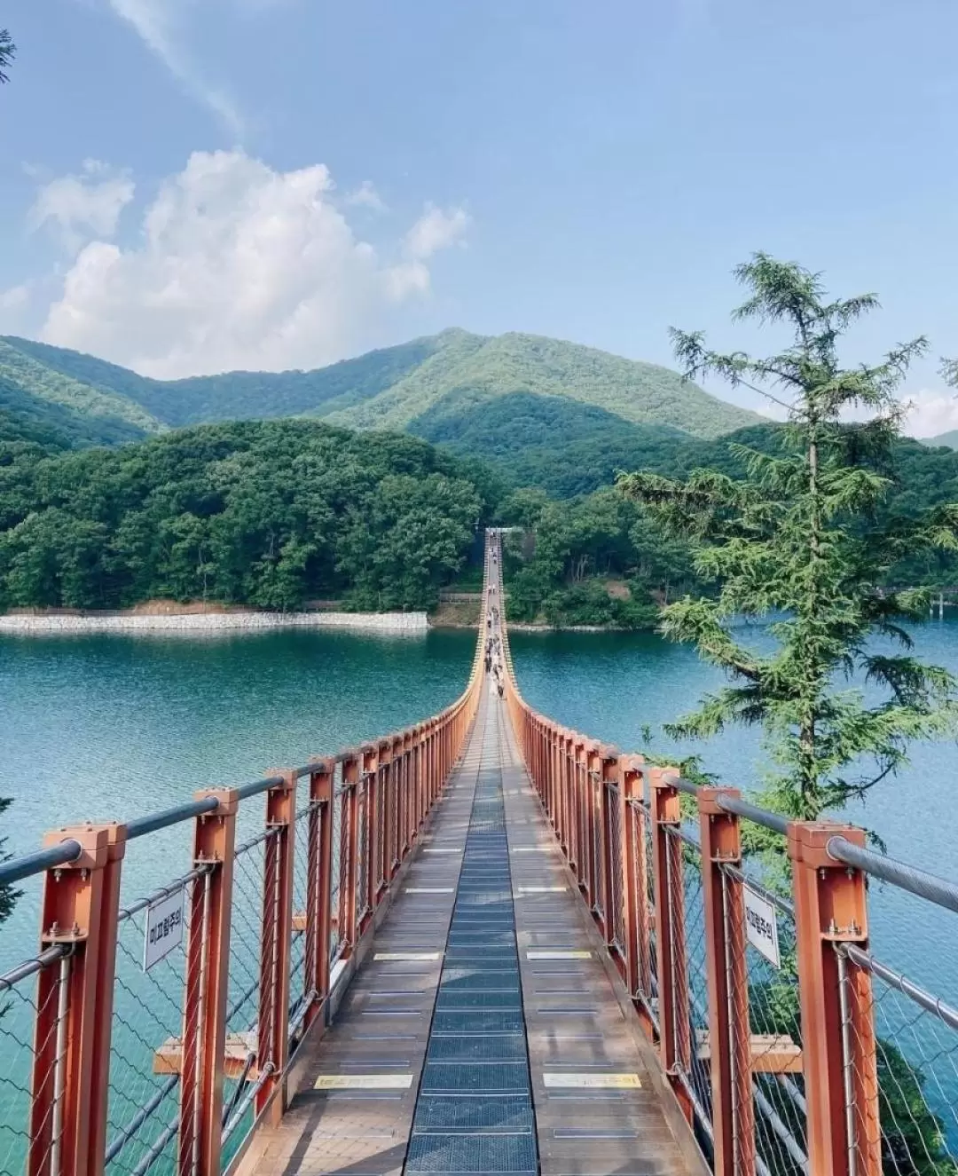 DMZ 3rd Invasion Tunnel and Suspension Bridge Day Tour from Seoul