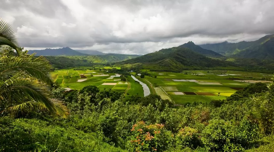 Kauai Movie Sites Adventure Tour in Hawaii