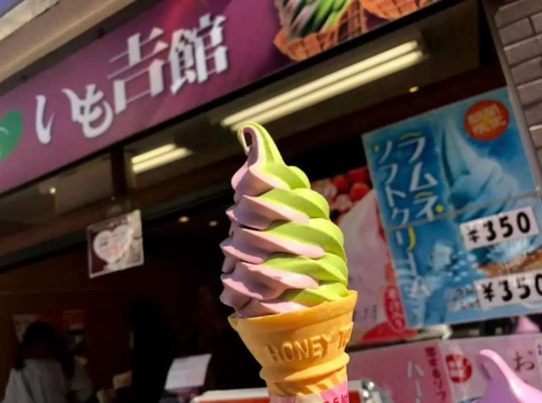 Kamakura Half Day Private Walking Tour 