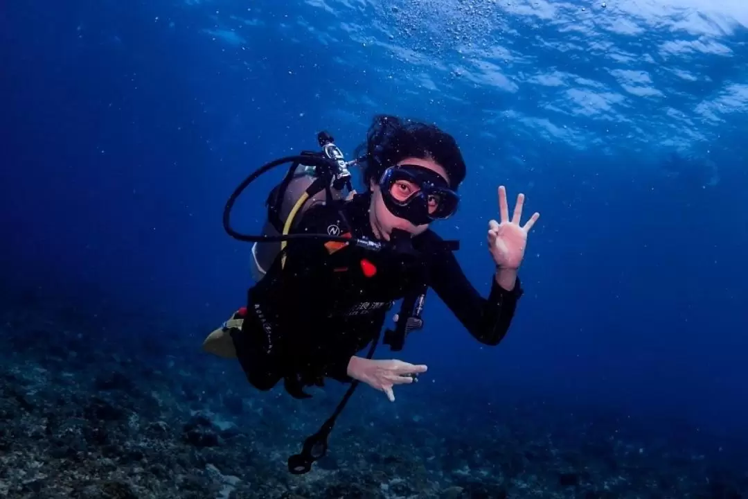 Pingtung Lambai Island | Diving Experience and Elementary OW Course