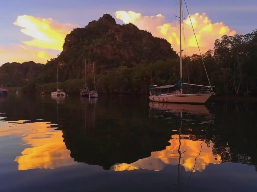 Sunset Mangrove Cruise Experience with Transfers and Meal in Langkawi